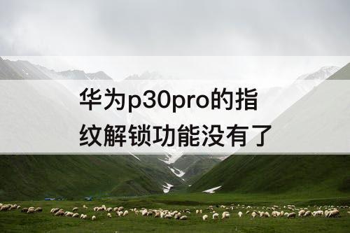 华为p30pro的指纹解锁功能没有了