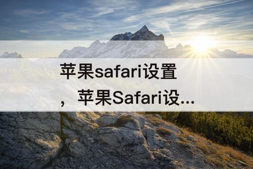 苹果safari设置，苹果Safari设置主页