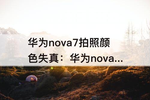 华为nova7拍照颜色失真：华为nova7拍照颜色失真怎么调