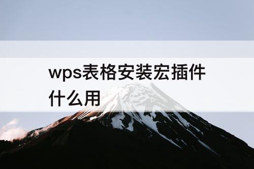 wps表格安装宏插件什么用