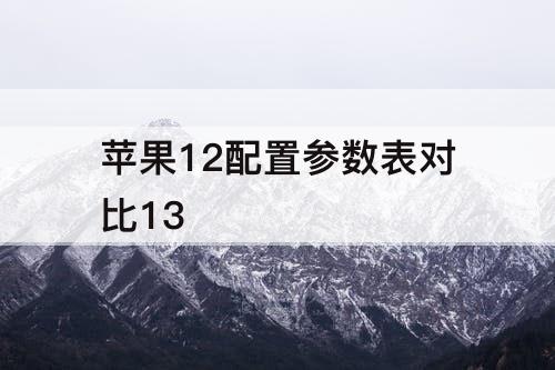 苹果12配置参数表对比13