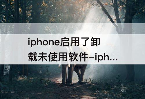 iphone启用了卸载未使用软件-iphone启用了卸载未使用软件有什么好处