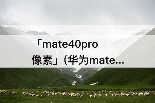 「mate40pro像素」(华为mate40pro像素怎么调)