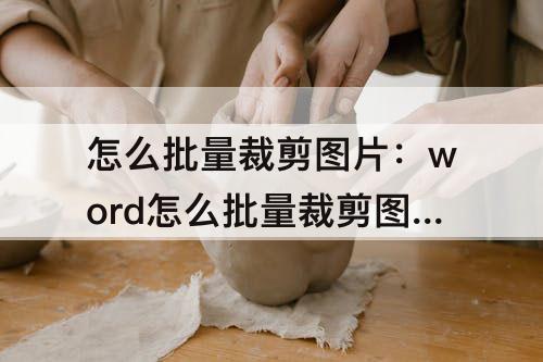 怎么批量裁剪图片：word怎么批量裁剪图片