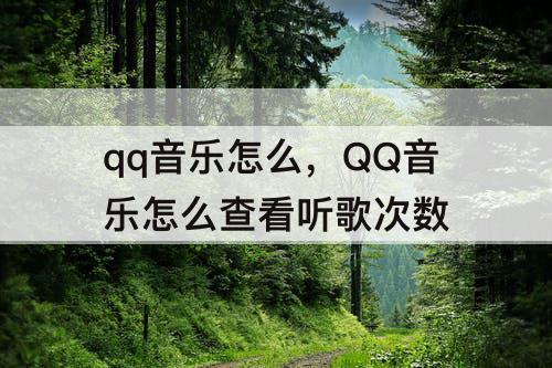 qq音乐怎么，QQ音乐怎么查看听歌次数