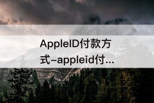 AppleID付款方式-appleid付款方式选无怎么付款