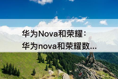 华为Nova和荣耀：华为nova和荣耀数字系列哪个好