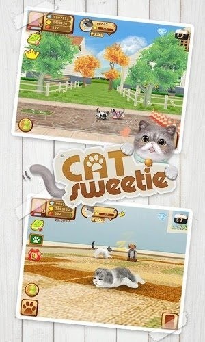 心动小猫手机版  v1.36.2图1