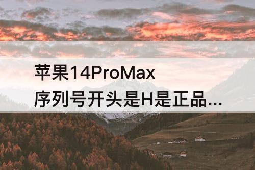 苹果14ProMax序列号开头是H是正品吗